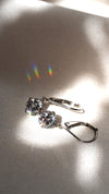 Briar Earrings Sterling Silver
