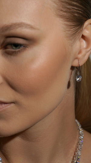 Briar Earrings Silver