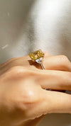 Harlow Yellow Ring 9K White Gold