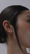Camden Stud Earrings 9K Yellow Gold