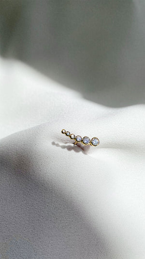 Carissa Earrings Gold Vermeil