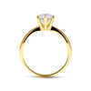 Gaia Ring 0.71ct 18K Yellow Gold